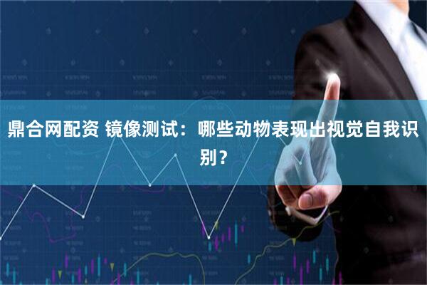 鼎合网配资 镜像测试：哪些动物表现出视觉自我识别？